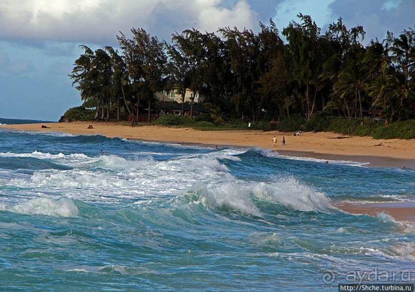 Бьют волны, а мне прикольно... Северное побережье Оаху