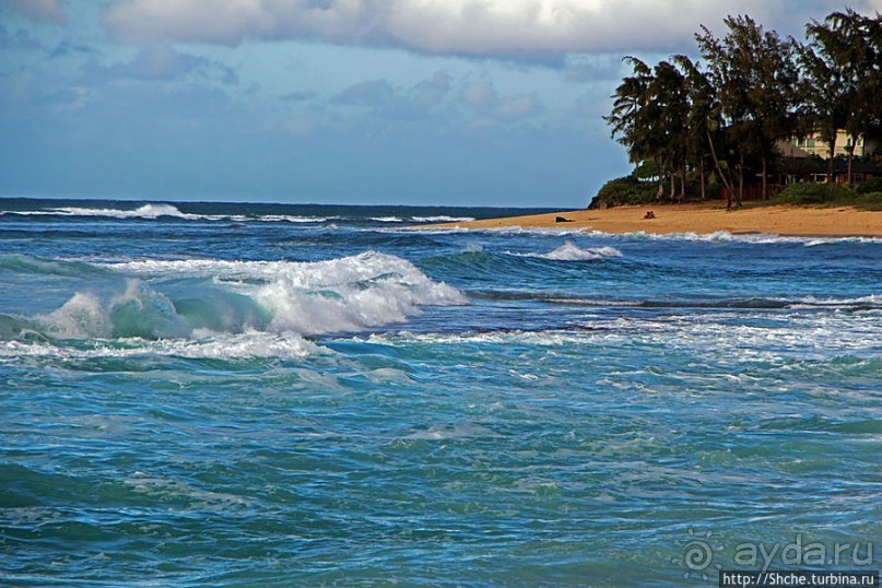 Бьют волны, а мне прикольно... Северное побережье Оаху
