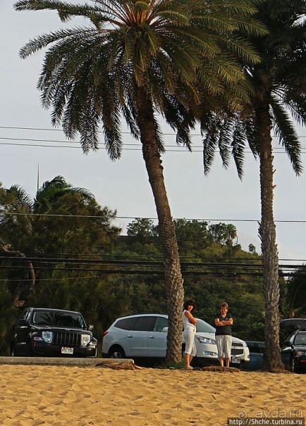 Бьют волны, а мне прикольно... Северное побережье Оаху