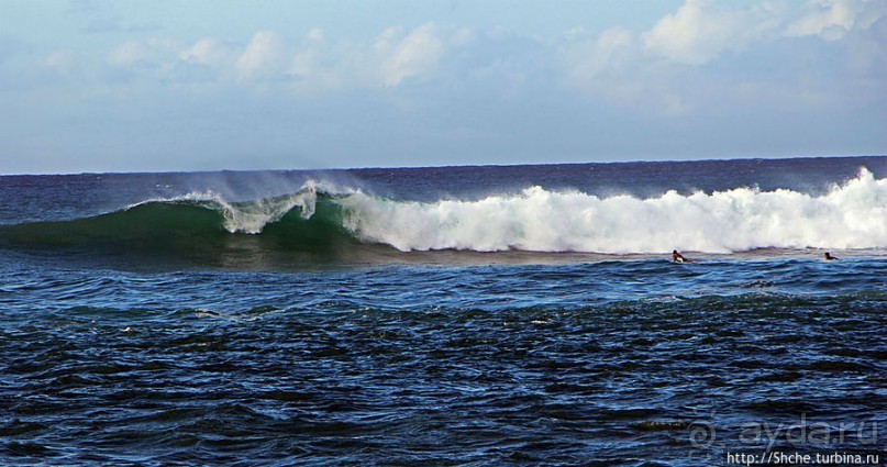 Бьют волны, а мне прикольно... Северное побережье Оаху