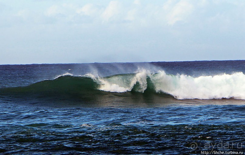 Бьют волны, а мне прикольно... Северное побережье Оаху