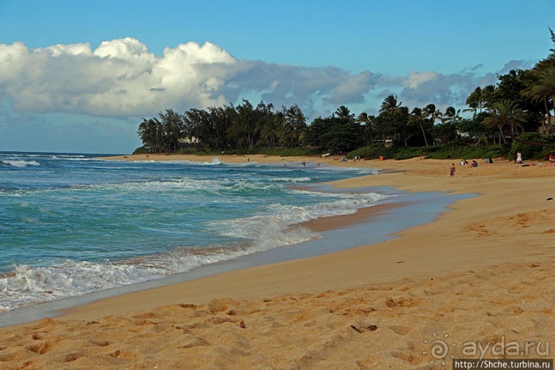 Бьют волны, а мне прикольно... Северное побережье Оаху