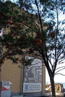 Воспоминания о Мадейре. Камара де Лобуш — рыбаки и Черчиль