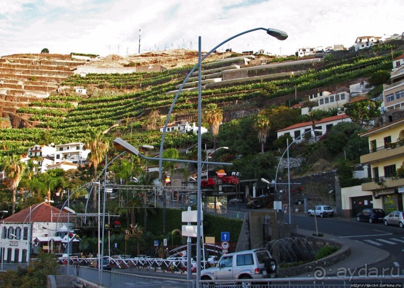 Воспоминания о Мадейре. Камара де Лобуш — рыбаки и Черчиль