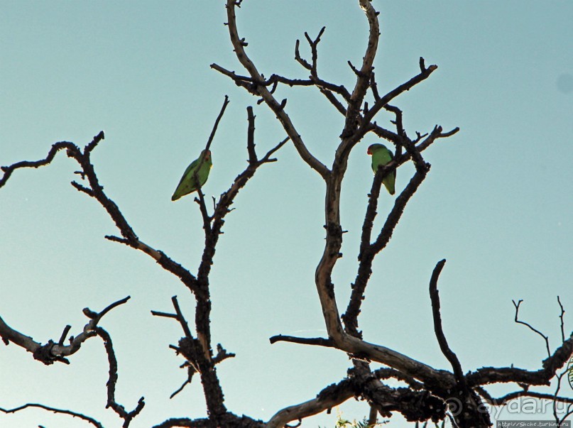 Фасил-Гебби — крепость города Гондэр (объект ЮНЕСКО №19)