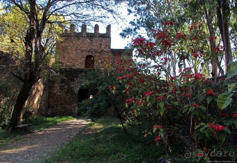 Фасил-Гебби — крепость города Гондэр (объект ЮНЕСКО №19)