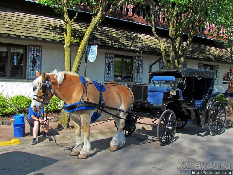 Немого Баварии в просторах Мичигана