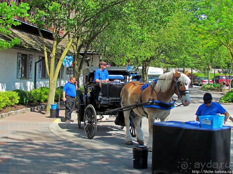 Немого Баварии в просторах Мичигана