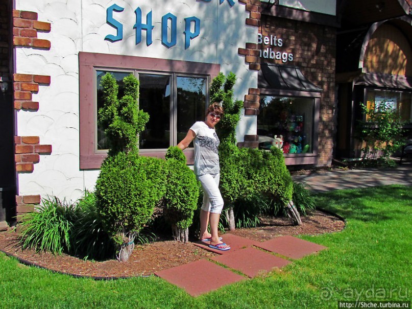 Немого Баварии в просторах Мичигана