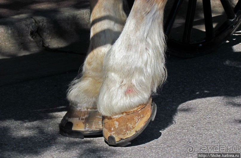 Немого Баварии в просторах Мичигана