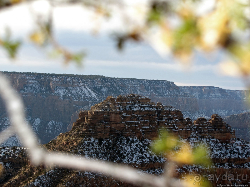 Гранд — потому что ну очень большой 
