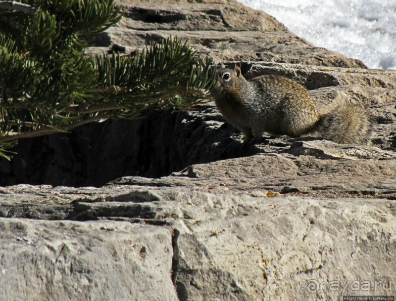 Гранд — потому что ну очень большой 