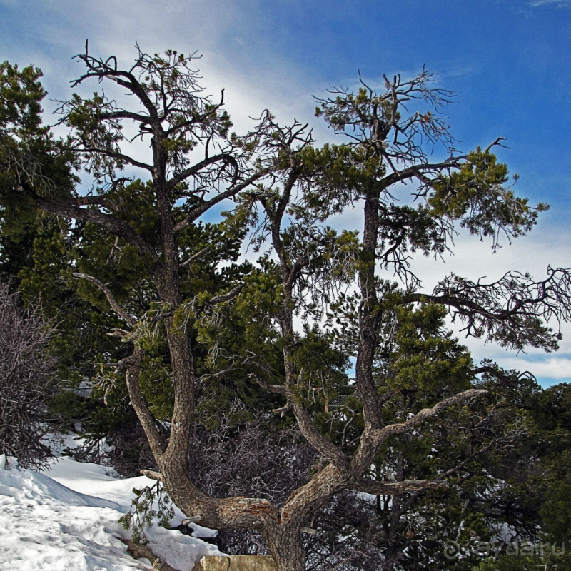 Гранд — потому что ну очень большой 
