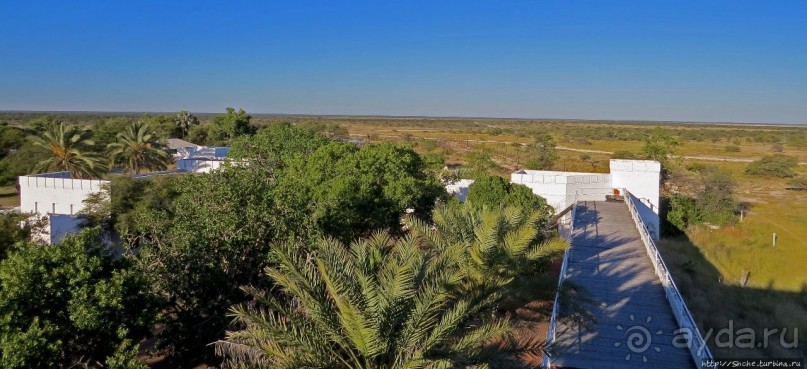 Белоснежная крепость в дикой саванне нац. парка Этоша