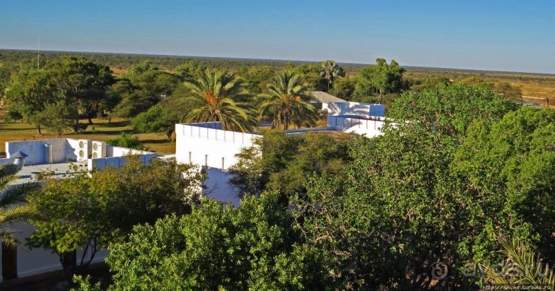 Белоснежная крепость в дикой саванне нац. парка Этоша