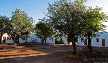 Белоснежная крепость в дикой саванне нац. парка Этоша