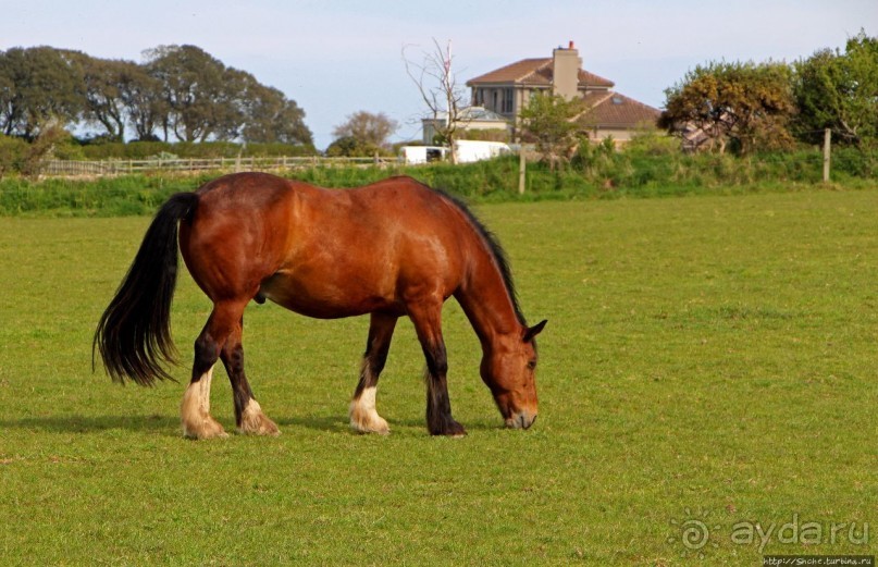 Отлив и солнце ... Розел — еще один джерсийский тупик