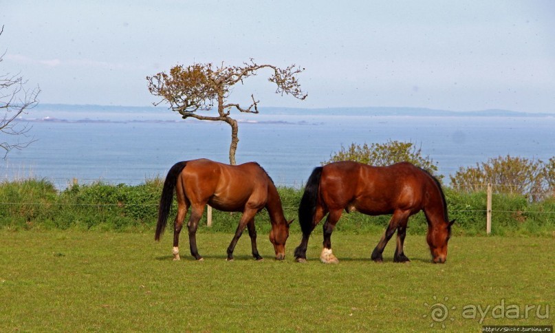 Отлив и солнце ... Розел — еще один джерсийский тупик