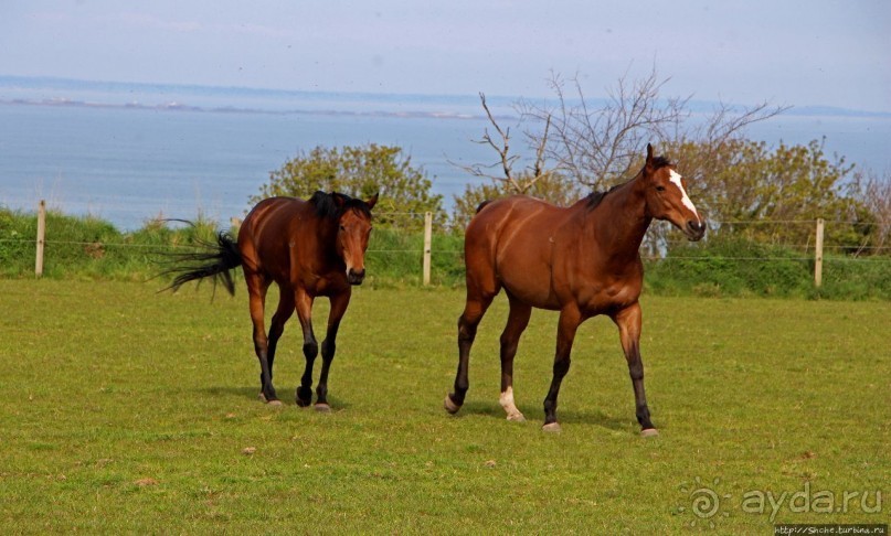 Отлив и солнце ... Розел — еще один джерсийский тупик