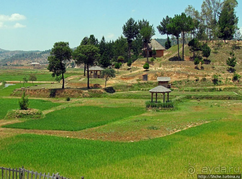 Трудовые будни мадагаскарского села