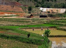 Трудовые будни мадагаскарского села