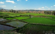 Трудовые будни мадагаскарского села