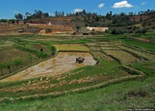 Альбом отзыва "Трудовые будни мадагаскарского села"