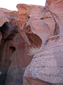 Каньон Антилопы — туда и обратно