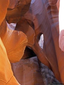 Каньон Антилопы — туда и обратно