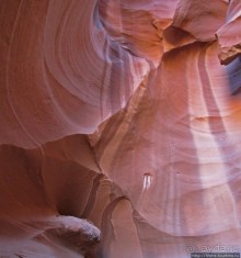 Каньон Антилопы — туда и обратно