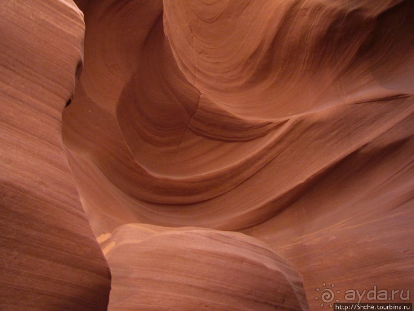 Каньон Антилопы — туда и обратно