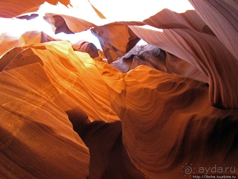 Каньон Антилопы — туда и обратно