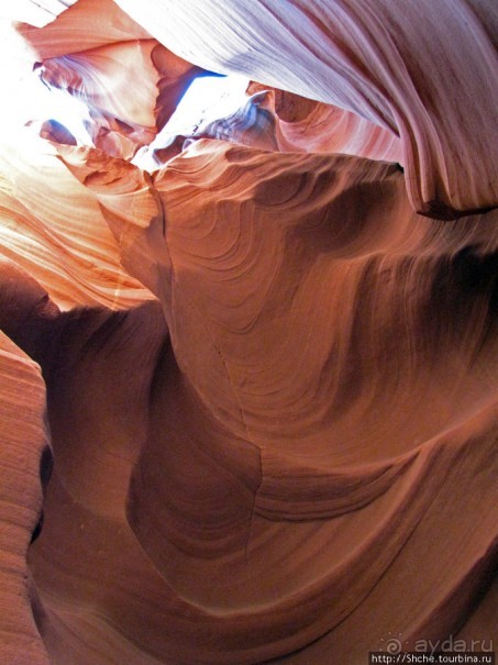 Каньон Антилопы — туда и обратно