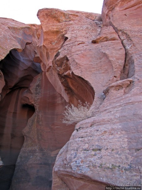 Каньон Антилопы — туда и обратно