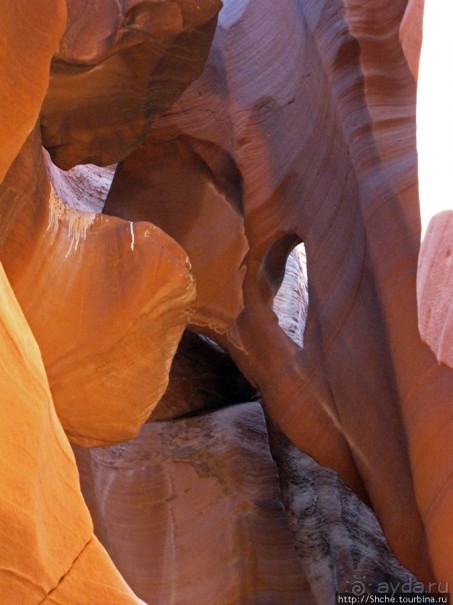 Каньон Антилопы — туда и обратно