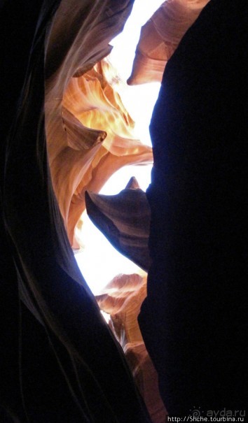 Каньон Антилопы — туда и обратно