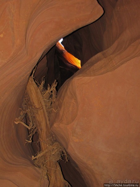 Каньон Антилопы — туда и обратно