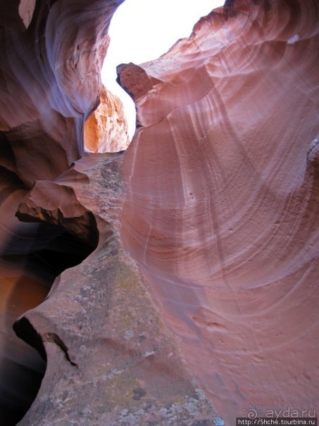 Каньон Антилопы — туда и обратно