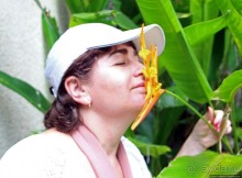 Все цветы мира к ногам наших подруг... Цветущий Барбадос