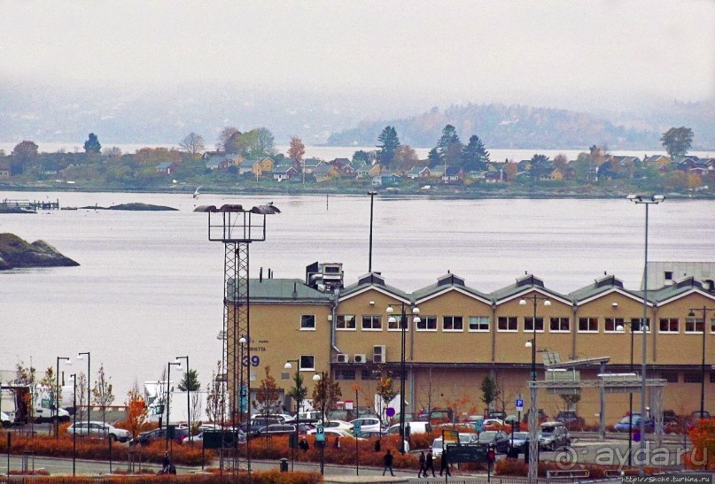 Осло-фьорд с крыши "Айсберга"