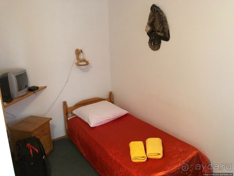 В сердце Беловежской Пущи