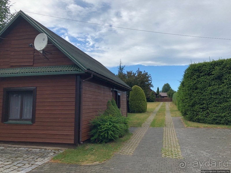 В сердце Беловежской Пущи