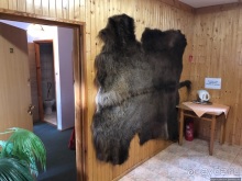 В сердце Беловежской Пущи