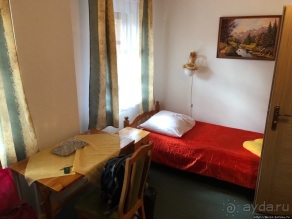 В сердце Беловежской Пущи