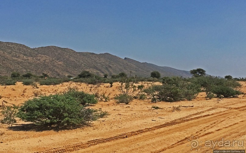 "Чего они хотят в Сомалиленде?", — "Посмотреть страну..."
