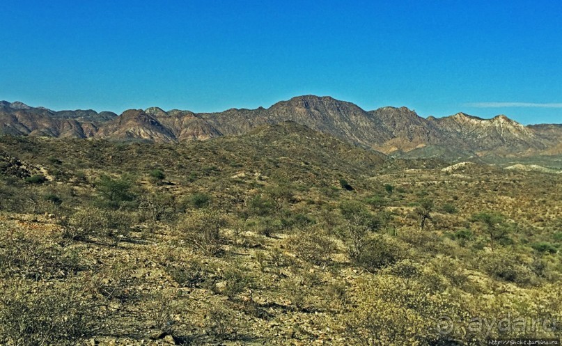 "Чего они хотят в Сомалиленде?", — "Посмотреть страну..."