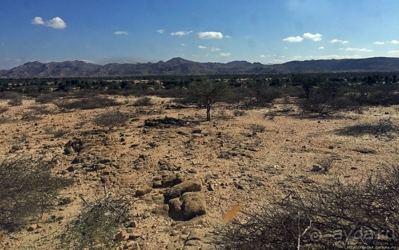 "Чего они хотят в Сомалиленде?", — "Посмотреть страну..."