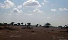 "Чего они хотят в Сомалиленде?", — "Посмотреть страну..."