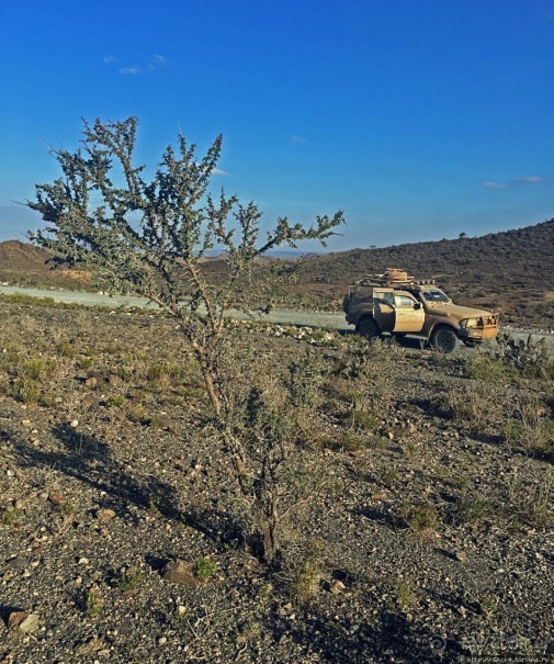 "Чего они хотят в Сомалиленде?", — "Посмотреть страну..."