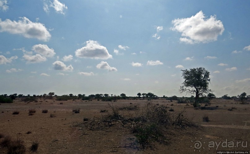"Чего они хотят в Сомалиленде?", — "Посмотреть страну..."